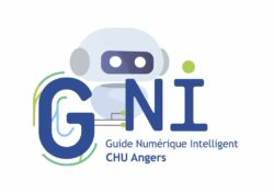 Logo G_NI CHU Angers